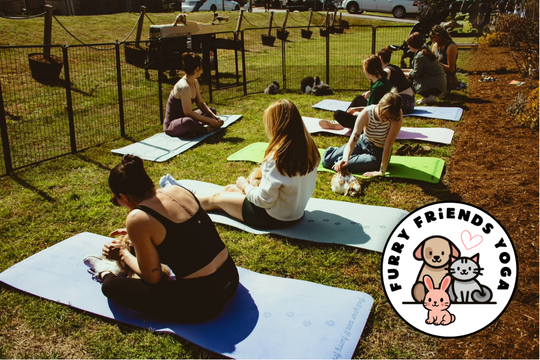 Mother's Day Bunny Yoga at Cova Brewing Company