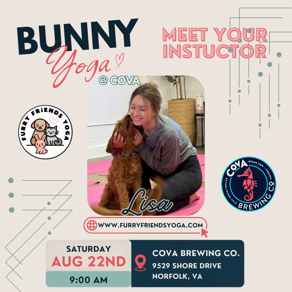 Bunny Yoga at Cova Brewing Co