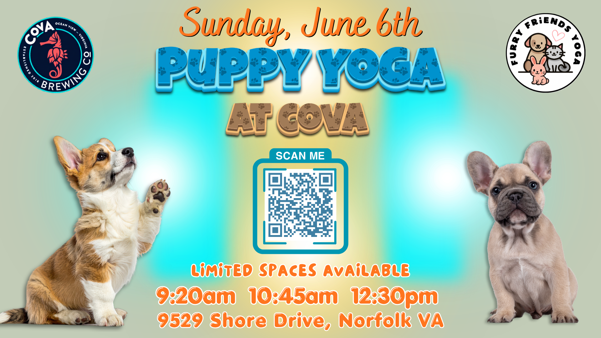 Puppy Yoga at Cova Brewing Company