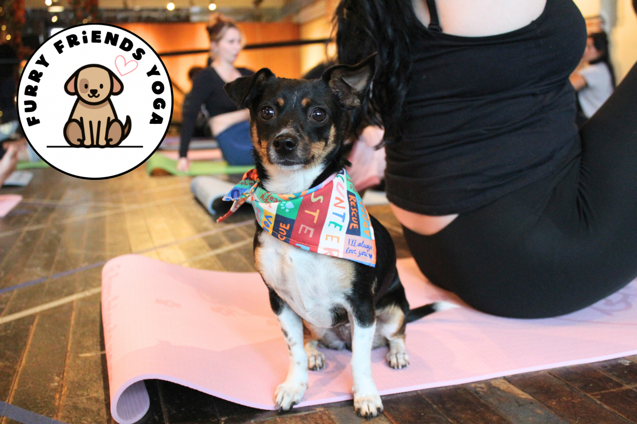 PUPPY YOGA at Locals Marketplace