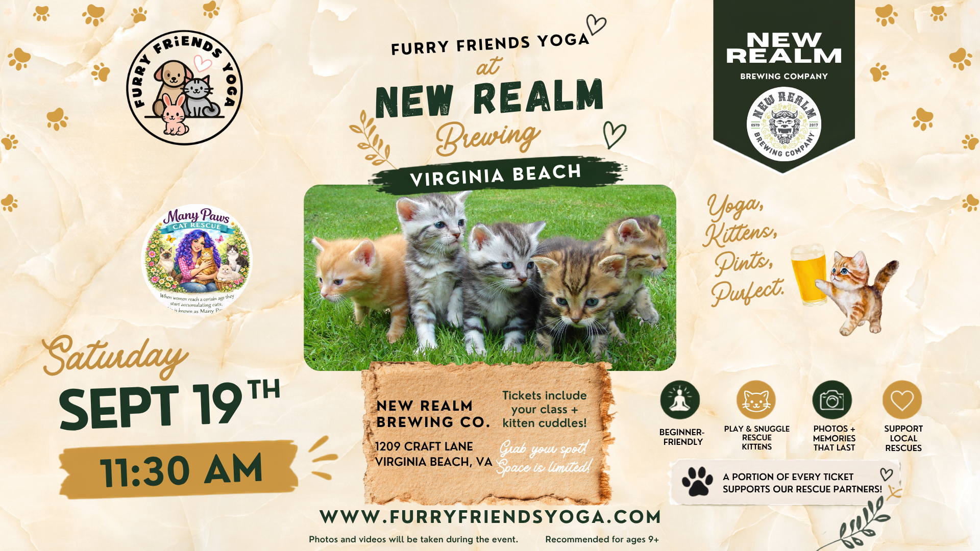 Kitten Yoga at New Realm Brewing Company
