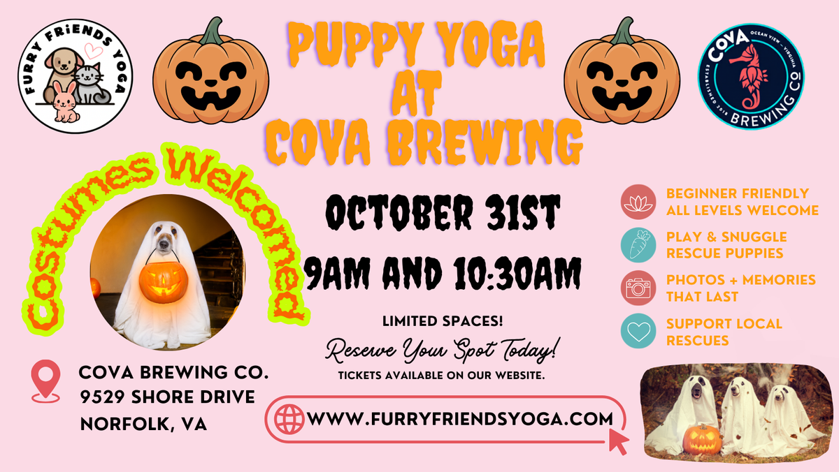 Puppy Yoga at COVA Brewing 10/31/2026