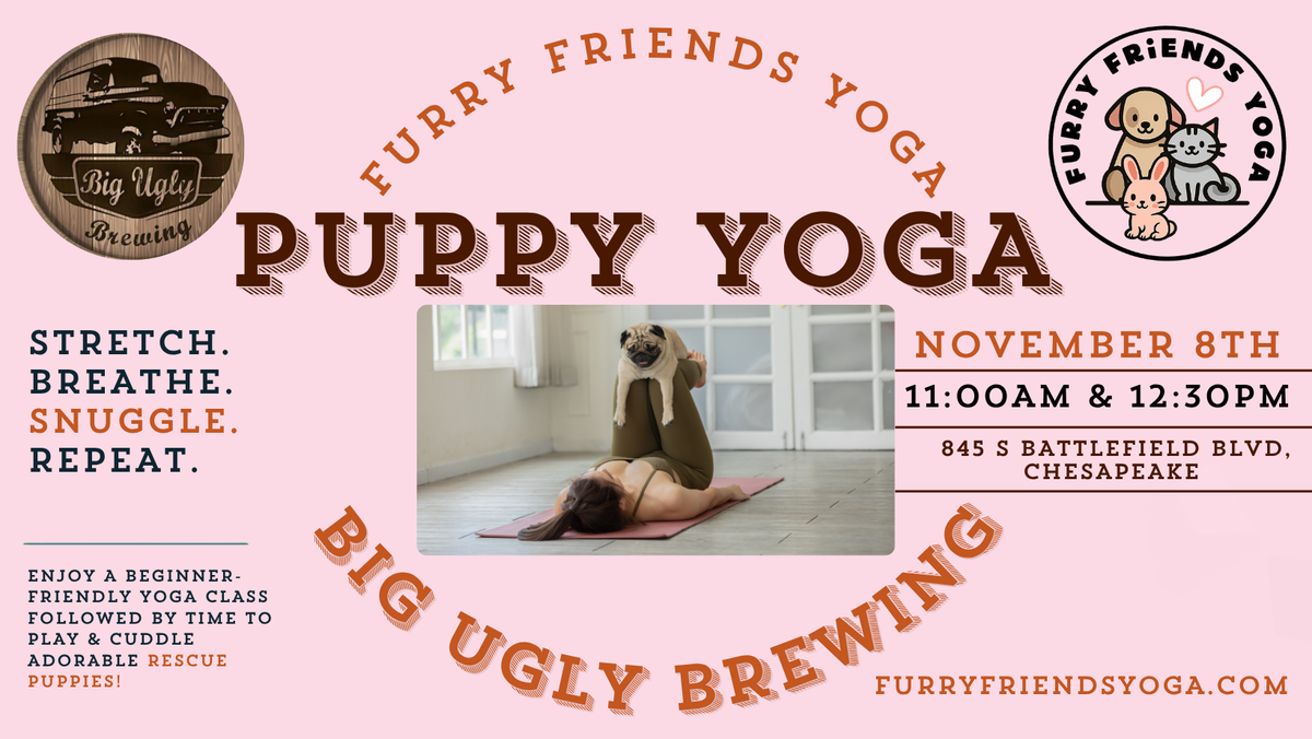 Puppy Yoga at Big Ugly Brewing 11/8/2026