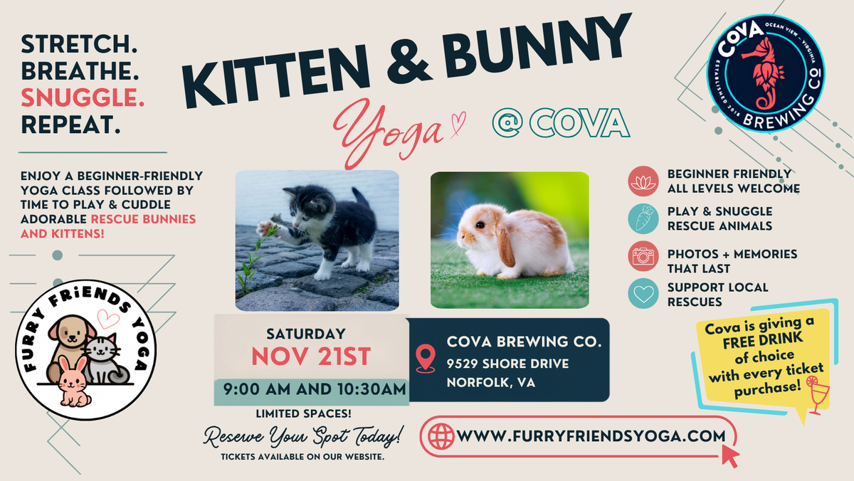 Kitten and Bunny Yoga at COVA 11/21/2026