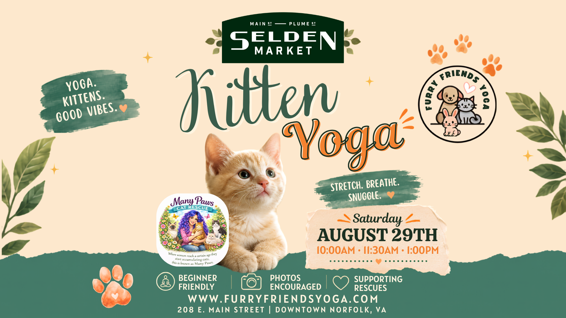 Kitten Yoga at Selden Market
