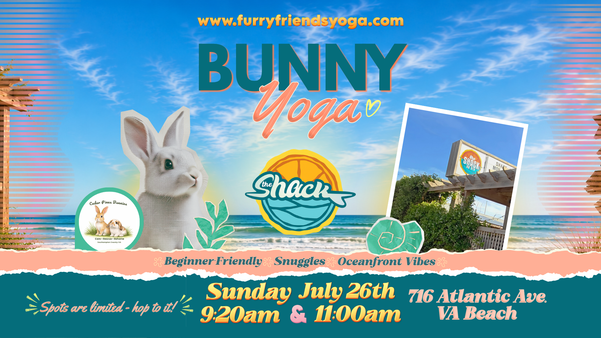 Bunny Yoga at The Shack - VA Beach