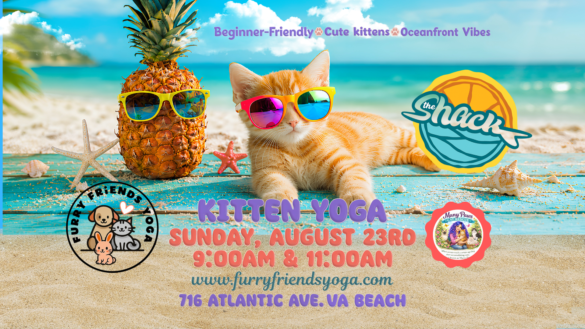 Kitten Yoga at The Shack - VA Beach