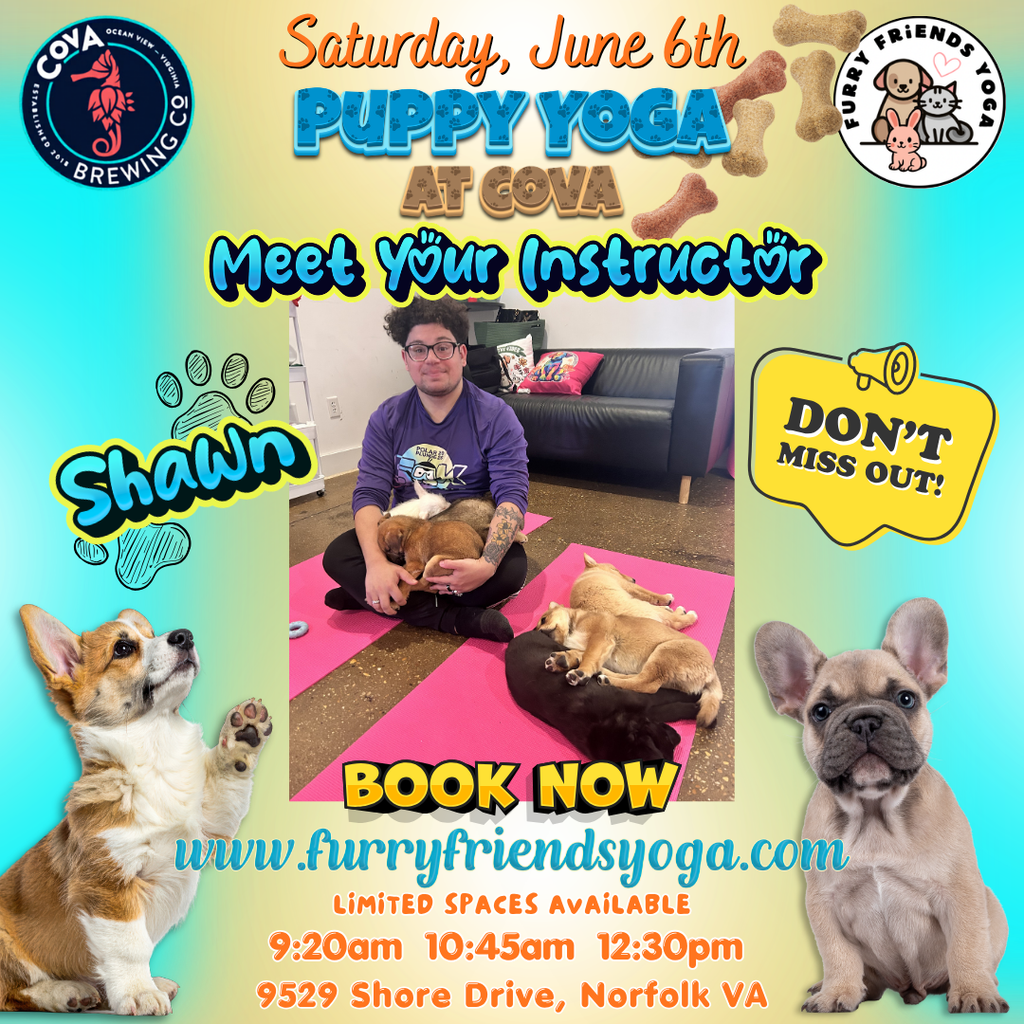 Puppy Yoga at Cova Brewing Company
