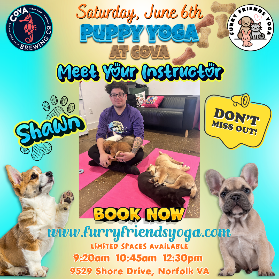 Puppy Yoga at Cova Brewing Company