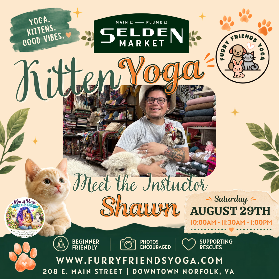 Kitten Yoga at Selden Market
